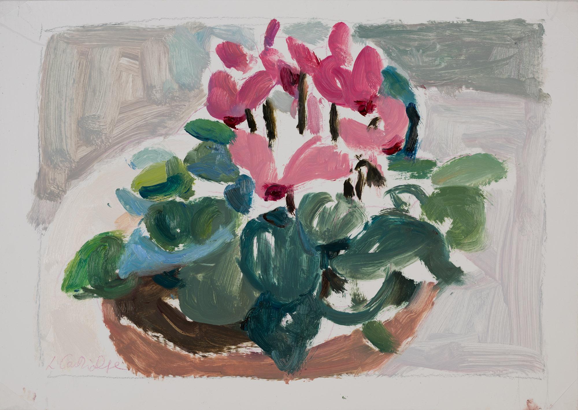 Cyclamen Study 2